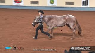 2020 AQHA Showmanship [upl. by Arraic197]