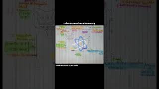 Mechanism Of Urine Formation  biology  PCMBGuy  Excretory System  system kidney [upl. by Hagi]