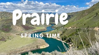 Prairie Spring Time [upl. by Ydor]