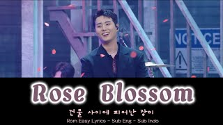 Young K  Rose Blossom 건물 사이에 피어난 장미 Studio Version  Rom Easy Lyrics  Sub Eng  Sub Indo  mwday6 [upl. by Aniat166]