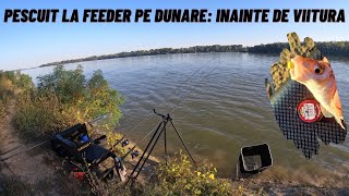 Pescuit la Feeder pe Dunare Inainte de Viitura [upl. by Bluefarb817]