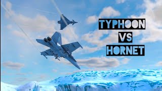 Eurofighter Typhoon VS FA18 Hornet Dogfight  Metalstorm [upl. by Nie336]