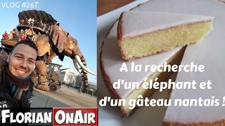 A la recherche dun ELEPHANT et dun GATEAU NANTAIS  VLOG 267 [upl. by Ihcas89]