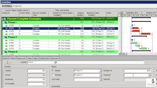 Primavera P6 Percent Complete Types [upl. by Rodmur]