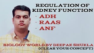 Regulation of Kidney Function [upl. by Aiouqahs135]