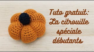 Citrouille au crochet tuto gratuit spécial débutant [upl. by Eugen]