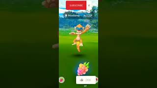 Unbeliveble 100 IV  Monferno Wild  😏 shorts pokemon monferno [upl. by Suertemed]