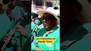 Los Clarinetes de banda tauro clarinete musicadeviento sones shorts [upl. by Eanil]