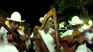 Mexico 2010 Son jarocho en Veracruz [upl. by Enileve]