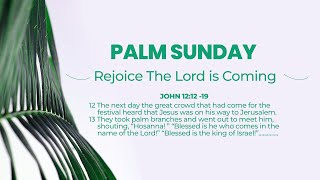 LIVE ▶ PALM SUNDAY  MARCH 24  2024 [upl. by Tjon]