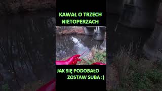 KAWAŁ O TRZECH NIETOPERZACH shorts [upl. by Ermina458]