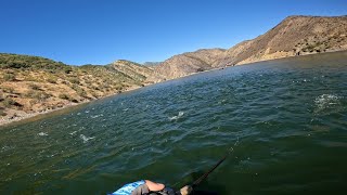 Most epic striped bass fishing ever  Pyramid lake CA [upl. by Komarek]