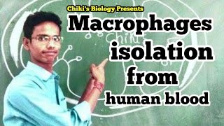 Isolation procedure of macrophages cells from human blood  Immunology👍👍By Chikis Biology [upl. by Naej92]