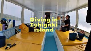 Dive in Okinawa  Ishigaki Island [upl. by Sean]