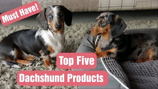 FIVE Things You Should Have Before Bringing Your DACHSHUND PUPPY Home [upl. by Nylrem]