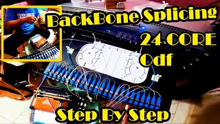 FIBER OPTIC CABLE  ODF Splicing 24 Core  Step By Step Splicing [upl. by Seroled370]