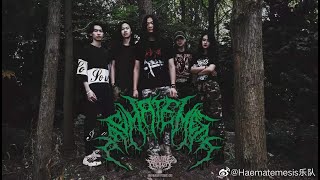 SlamBrutalDeath Haematemesis LIVE CLIP Deathcore Be Born in Shanghai YYTP 2021122 [upl. by Asher]