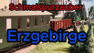 Schmalspurzauber im Erzgebirge Wolkenstein  Jöhstadt SteinbachCranzahl Modellbahnland Spur 1 [upl. by Morton89]