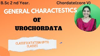 General Characteristics of urochordate bsc 2nd yearclassification of Urochordata3rdsemexam [upl. by Nuahsor379]