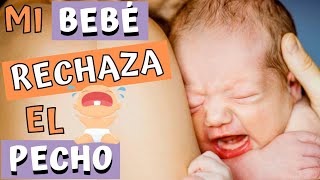 🤱❌ POR QUÉ MI BEBÉ NO QUIERE EL PECHO  ¿QUÉ HAGO 🤱❌ [upl. by Akialam]