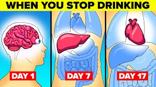 What Happens To Your Body When You Stop Drinking Alcohol [upl. by Ethelred]