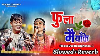 Fula Maiya Ke  Tharu Slowed And Reverb Song  Rk Tharu And Samikshya Chaudhary  Sisam tharu [upl. by Queston761]