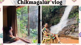 Jhari eco stay Chikmagalur  Resort in Chikmagalur  private waterfalls resort Chikmagalur Homestay [upl. by Olwen78]