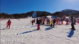 Mona Yongpyong Ski Resort 4K Walking Tour  Stunning Mountain Views and Ski Resort Exploration [upl. by Aerdnaid]