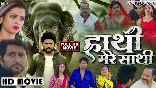 Haathi Mere Saathi New Bhojpuri Movie 2024 Yash Kumar Full Movie Story Haathimeresaathi [upl. by Assiar]