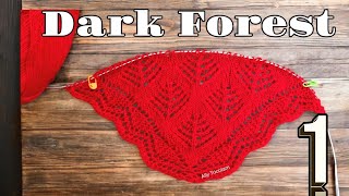 Sal tricotat Dark Forest Shawl Dark Forest Partea 1 [upl. by Kjersti]