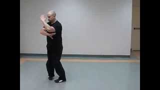 Baguazhang  Pa Kua Chang  Jiang Rong Qiao  Second Palm Change [upl. by Moreland]