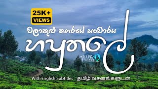 Sri Lanka Travel  Haputale Travel Tips  වලාකුළු නගරයේ සංචාරය හපුතලේ [upl. by Euqinorev]