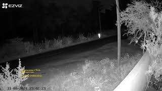 Ezviz Outdoor Bullet Camera Clarity [upl. by Swart989]