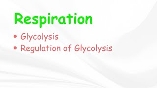 RespirationType of RespirationGlycolysisBSc 3rd YearLife Science Classes [upl. by Rolan]