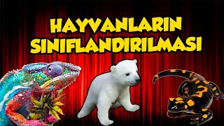 HAYVANLARIN SINIFLANDIRMASI 5 SINIF  2020 [upl. by Hayashi]