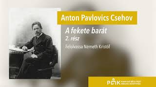 Anton Pavlovics Csehov A fekete barát  2 rész [upl. by Maxey]