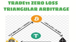 TRADE11 TRIANGULAR ARBITRAGE BEST Crypto arbitragetrading bot 25 profit per day [upl. by Enelyahs]