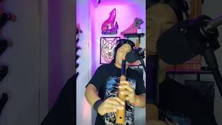 Wakan Tanka cover nativeamericanflute flute music nativemusic duet [upl. by Wesla]