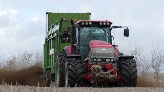 McCormick 260 ZTX Working Hard in The Field w Bergmann Manure Spreader  Danish Agriculture [upl. by Fedirko]