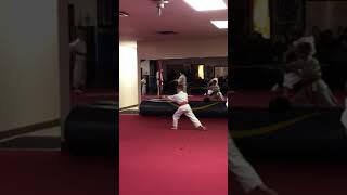 Landon at Mr Dees Karate in Elyria Ohio [upl. by Jaehne]