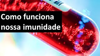 Como funciona nossa imunidade  Odontologia  Dra Bianca Rosa [upl. by Ynnob]