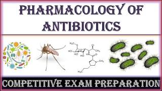 Top Questions  Antibiotics [upl. by Eannaj430]