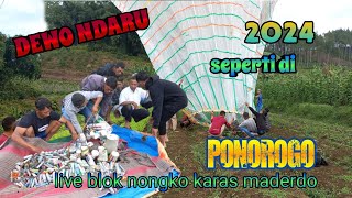 super Gedi DEWO NDARU balon koyo di ponorogo [upl. by Arjan]