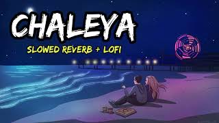 Chaleya Lofi  Slowed  Reverb  Arijit Singh amp Shilpa Rao [upl. by Puto]