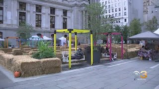 Harvest Weekend Kicks Off At Dilworth Park [upl. by Noryahs]