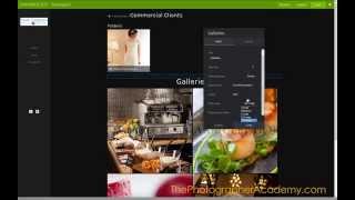 SmugMug Tips and Tricks  Gallery Layouts [upl. by Der]