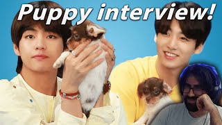 Puppees  BTS Plays With Puppies While Answering Fan Questions  Reaction [upl. by Thecla854]