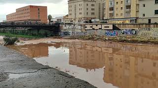 Río Guadalmedina centro de Málaga 29 Octubre 2024 [upl. by Buller]