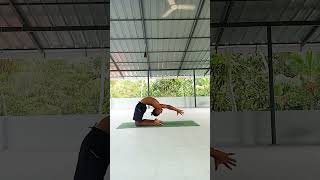 How to do kapotasana Ashtanga vinyasa intermediate seriesyoga yogareel reelmotivation yogis [upl. by Tihom12]