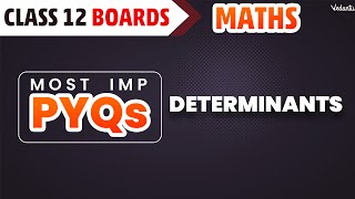 Determinants Class 12 PYQs 202324  Class 12 Maths Chapter 4  Vijay Sir [upl. by Ralli]